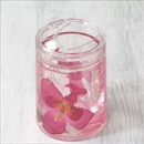 アクリル製歯ブラシスタンド/洗面所用具 【ピンクオーキッド】 造花