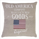 プリントクッション 【USA】 正方形 45cm×45cm コットン (綿)入り (インテリア雑貨) TTC-110C