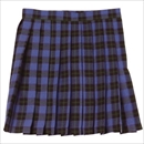 【コスプレ】 TeensEver(ティーンズエバー) コスプレ TE-11AW スカート ブルー×グリーン L 4560320837459